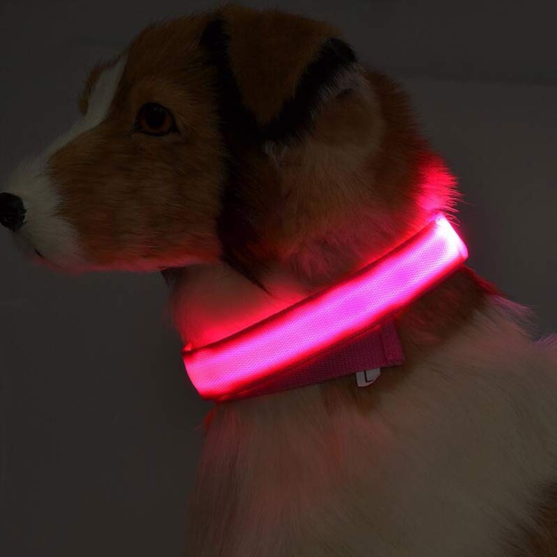 LED Pet Safety Collar