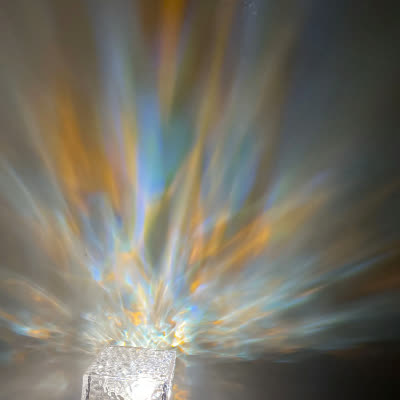 Review by Rania Turner