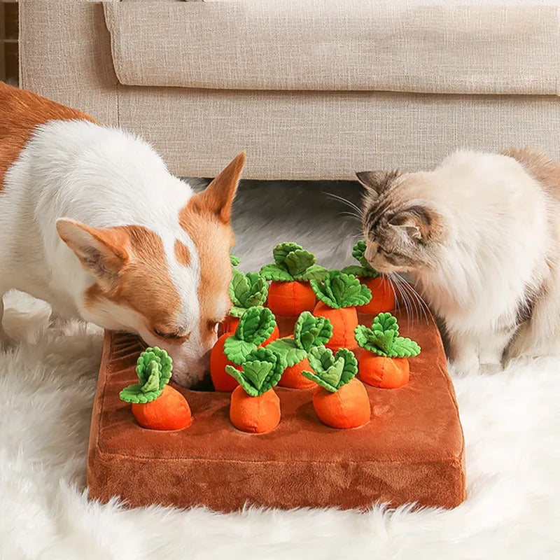 The Carrot Patch